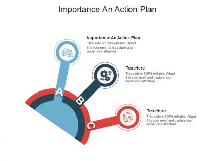 Importance an action plan ppt powerpoint presentation file clipart cpb