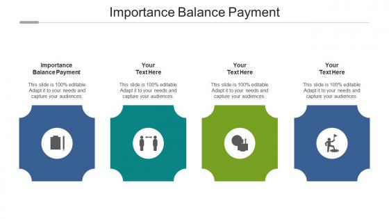 Importance balance payment ppt powerpoint presentation outline visuals cpb