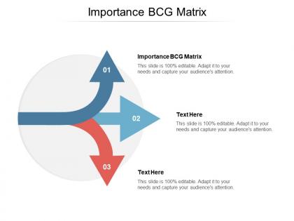 Importance bcg matrix ppt powerpoint presentation pictures shapes cpb