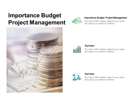 Importance budget project management ppt powerpoint presentation portfolio file formats cpb