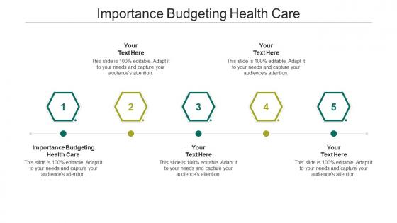 Importance budgeting health care ppt powerpoint presentation file background cpb