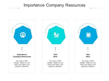 Importance company resources ppt powerpoint presentation professional information cpb