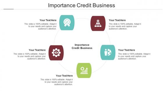 Importance Credit Business Ppt Powerpoint Presentation Layouts Vector Cpb