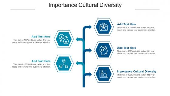 Importance Cultural Diversity Ppt Powerpoint Presentation Summary Clipart Cpb