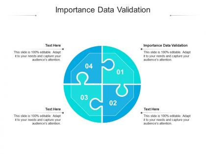 Importance data validation ppt powerpoint presentation show example cpb