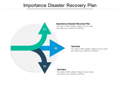 Importance disaster recovery plan ppt powerpoint presentation slides format cpb