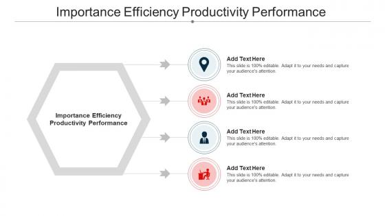 Importance Efficiency Productivity Performance Ppt Powerpoint Presentation Gallery Cpb