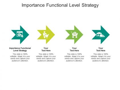 Importance functional level strategy ppt portfolio graphic images cpb