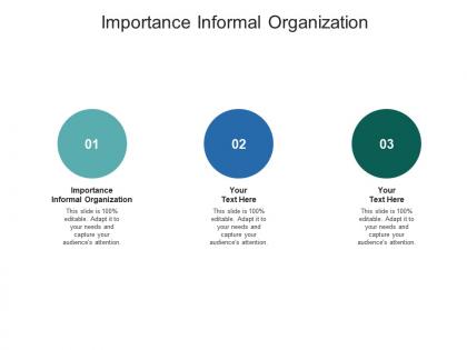 Importance informal organization ppt powerpoint presentation professional cpb
