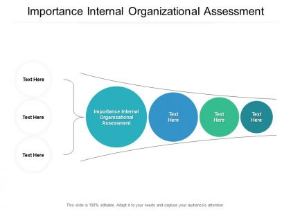 Importance internal organizational assessment ppt powerpoint presentation icon cpb