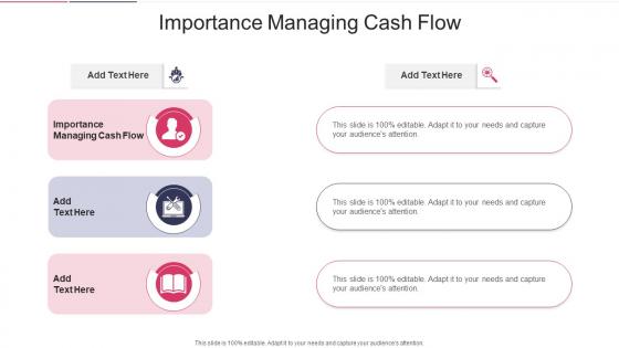 Importance Managing Cash Flow In Powerpoint And Google Slides Cpb