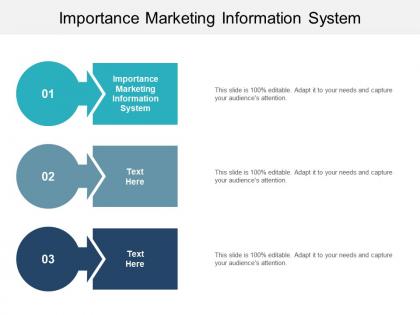Importance marketing information system ppt powerpoint presentation professional cpb