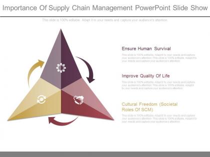Importance of supply chain management powerpoint slide show