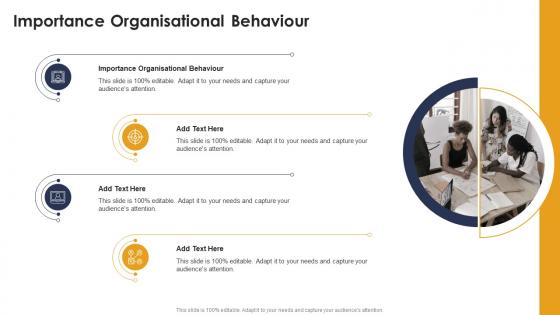 Importance Organisational Behaviour In Powerpoint And Google Slides Cpb