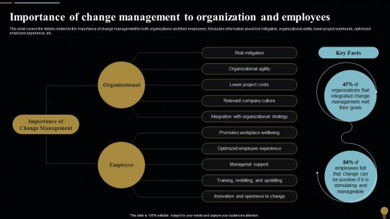 Importance Organization And Employees Change Management Plan For Organizational Transitions CM SS