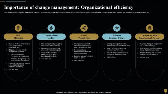 Importance Organizational Efficiency Change Management Plan For Organizational Transitions CM SS