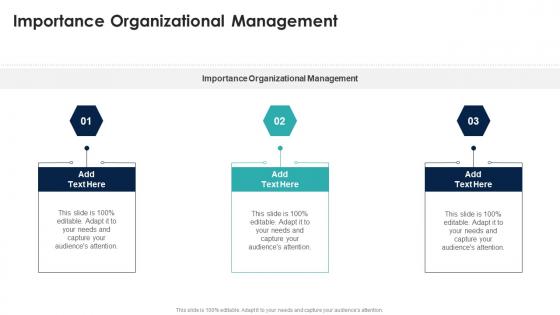 Importance Organizational Management In Powerpoint And Google Slides Cpb