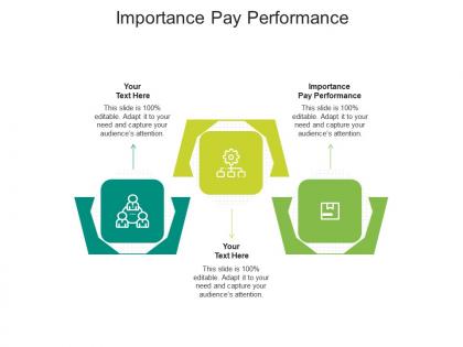 Importance pay performance ppt powerpoint presentation icon graphics download cpb