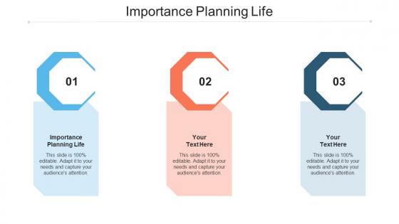 Importance Planning Life Ppt Powerpoint Presentation Styles Example Introduction Cpb
