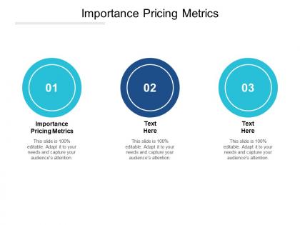 Importance pricing metrics ppt powerpoint presentation show influencers cpb