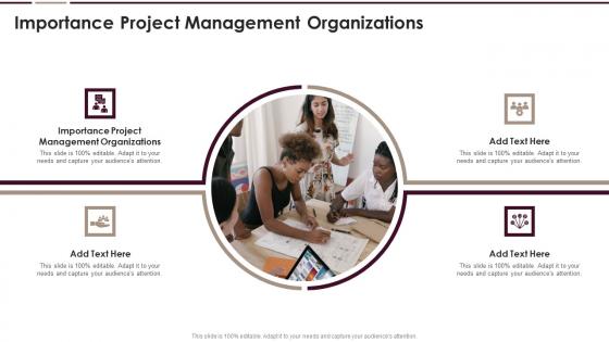Importance Project Management Organizations In Powerpoint And Google Slides Cpb