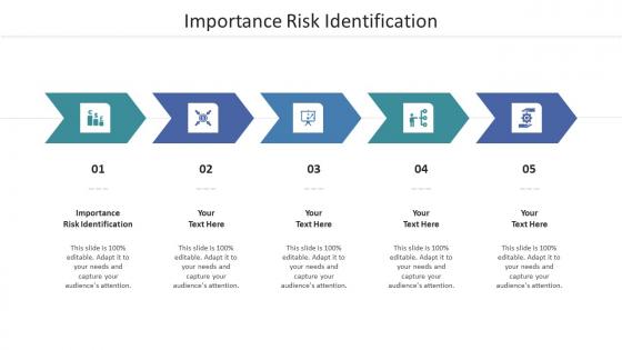 Importance Risk Identification Ppt Powerpoint Presentation Icon Guide Cpb