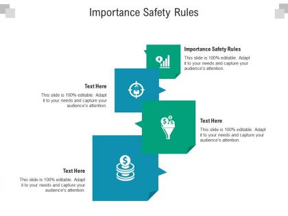 Importance safety rules ppt powerpoint presentation file information cpb