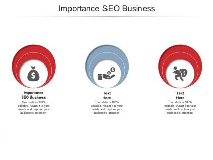 Importance seo business ppt powerpoint presentation professional layouts cpb