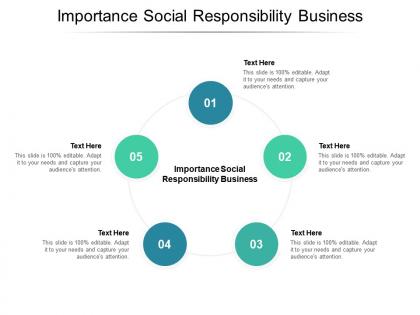 Importance social responsibility business ppt powerpoint presentation portfolio background cpb