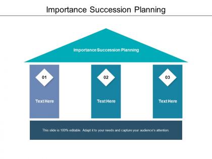 Importance succession planning ppt powerpoint presentation infographic template designs cpb