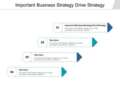 Important business strategy drive strategy ppt powerpoint presentation icon visual aids cpb