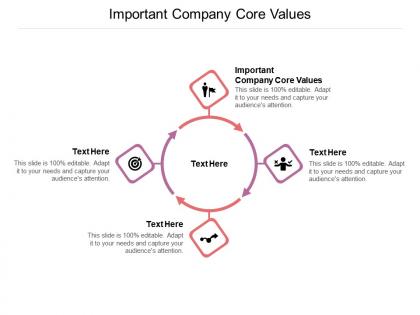 Important company core values ppt infographic template slide download cpb