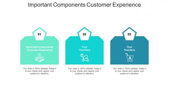 Important components customer experience ppt powerpoint presentation outline files cpb