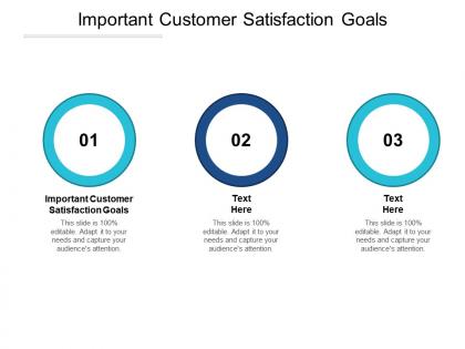 Important customer satisfaction goals ppt powerpoint presentation outline clipart cpb