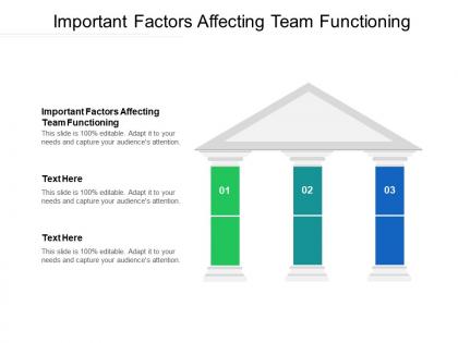 Important factors affecting team functioning ppt powerpoint presentation styles outline cpb