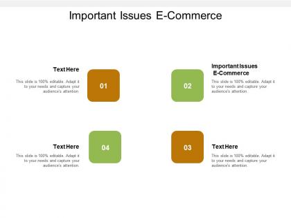 Important issues e commerce ppt powerpoint presentation icon examples cpb