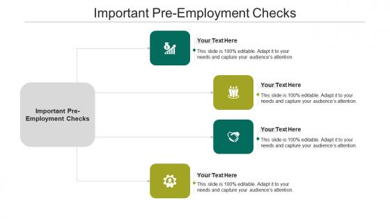 Important pre-employment checks ppt powerpoint presentation portfolio graphics template cpb