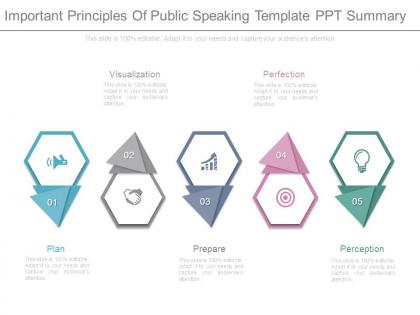 Important principles of public speaking template ppt summary