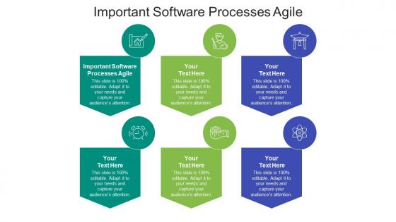 Important software processes agile ppt powerpoint presentation inspiration examples cpb