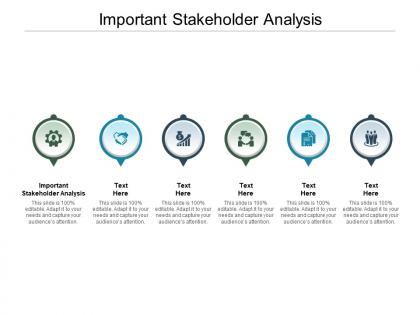 Important stakeholder analysis ppt powerpoint presentation gallery example file cpb
