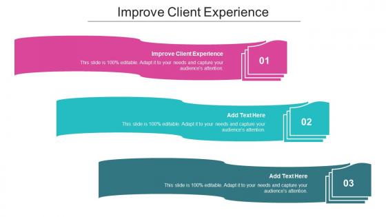 Improve Client Experience Ppt Powerpoint Presentation Professional Cpb