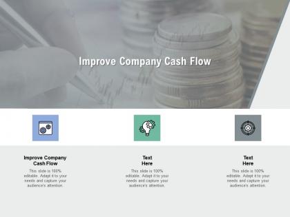 Improve company cash flow ppt powerpoint presentation layouts ideas cpb