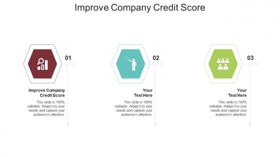 Improve company credit score ppt powerpoint presentation layouts graphic images cpb