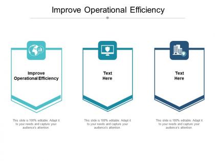 Improve operational efficiency ppt powerpoint presentation show shapes cpb