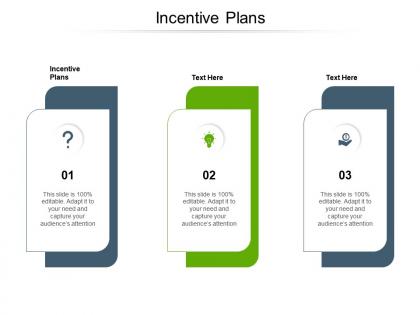 Incentive plans ppt powerpoint presentation portfolio inspiration cpb