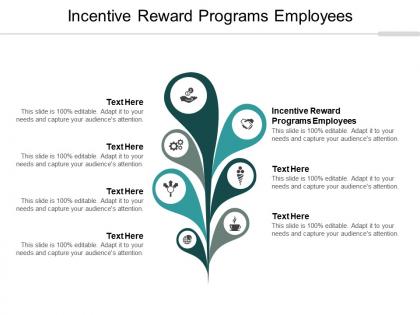 Incentive reward programs employees ppt powerpoint presentation show good cpb