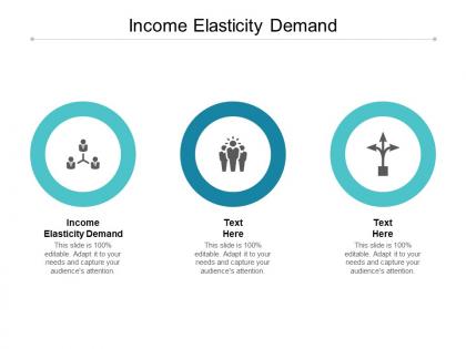Income elasticity demand ppt powerpoint presentation gallery format ideas cpb