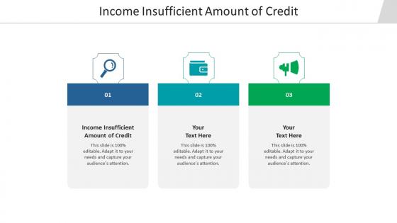 Income insufficient amount of credit ppt powerpoint presentation professional cpb