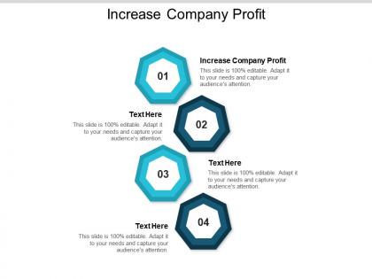 Increase company profit ppt powerpoint presentation gallery slide cpb