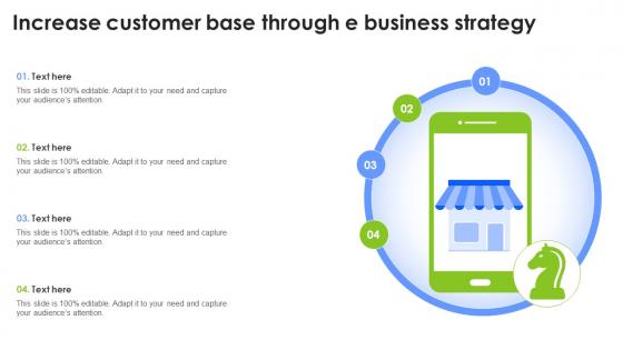 Increase Customer Base Through E Business Strategy